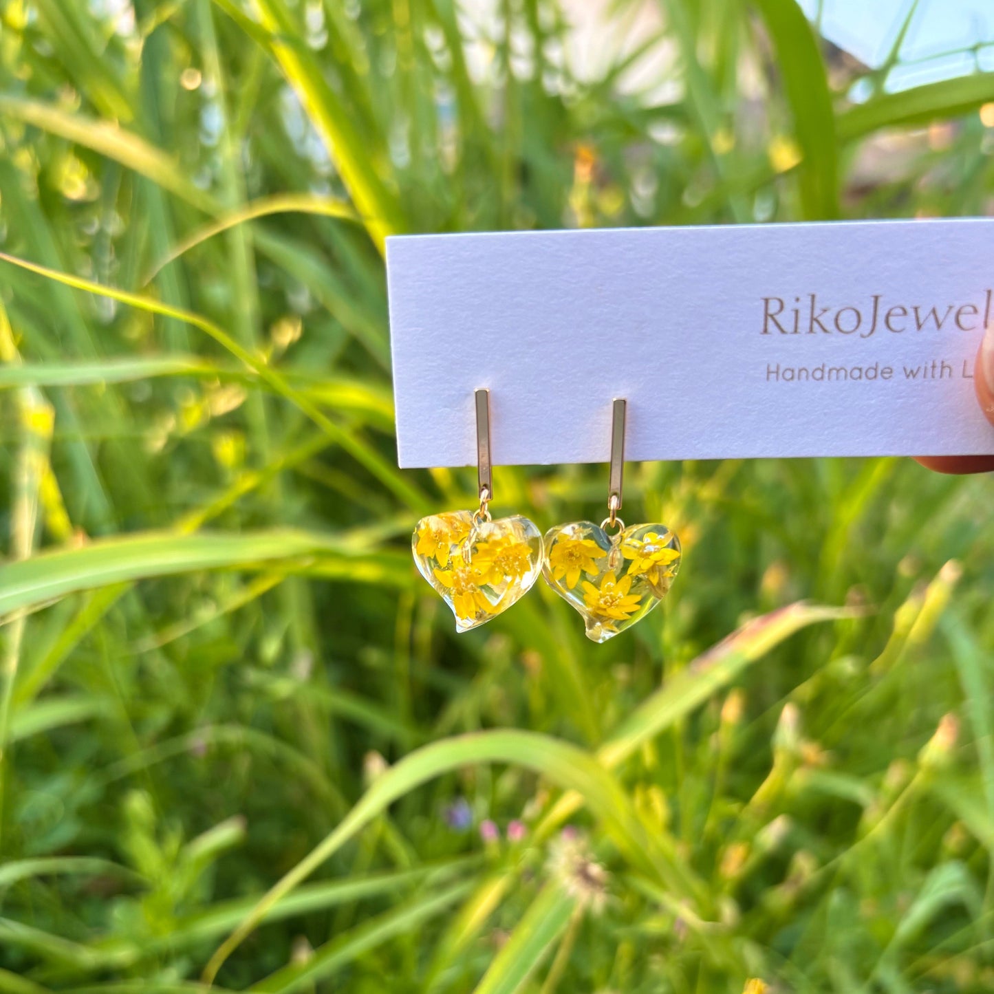 Helipterum Humboldt flowers mini heart Earrings