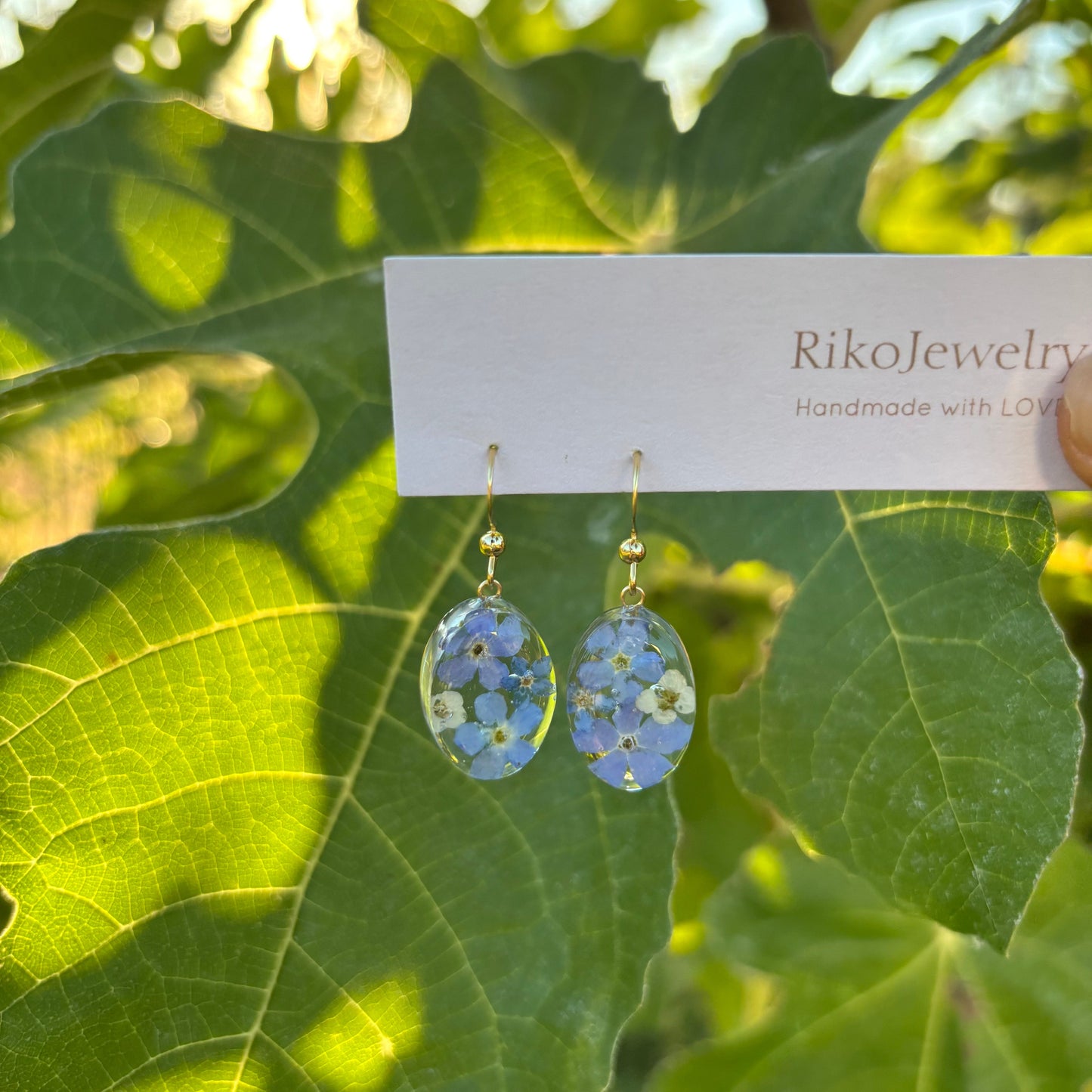 Forget me nots and white alyssums earrings