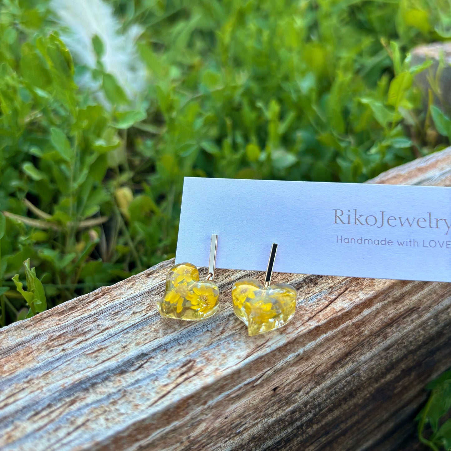 Helipterum Humboldt flowers mini heart Earrings