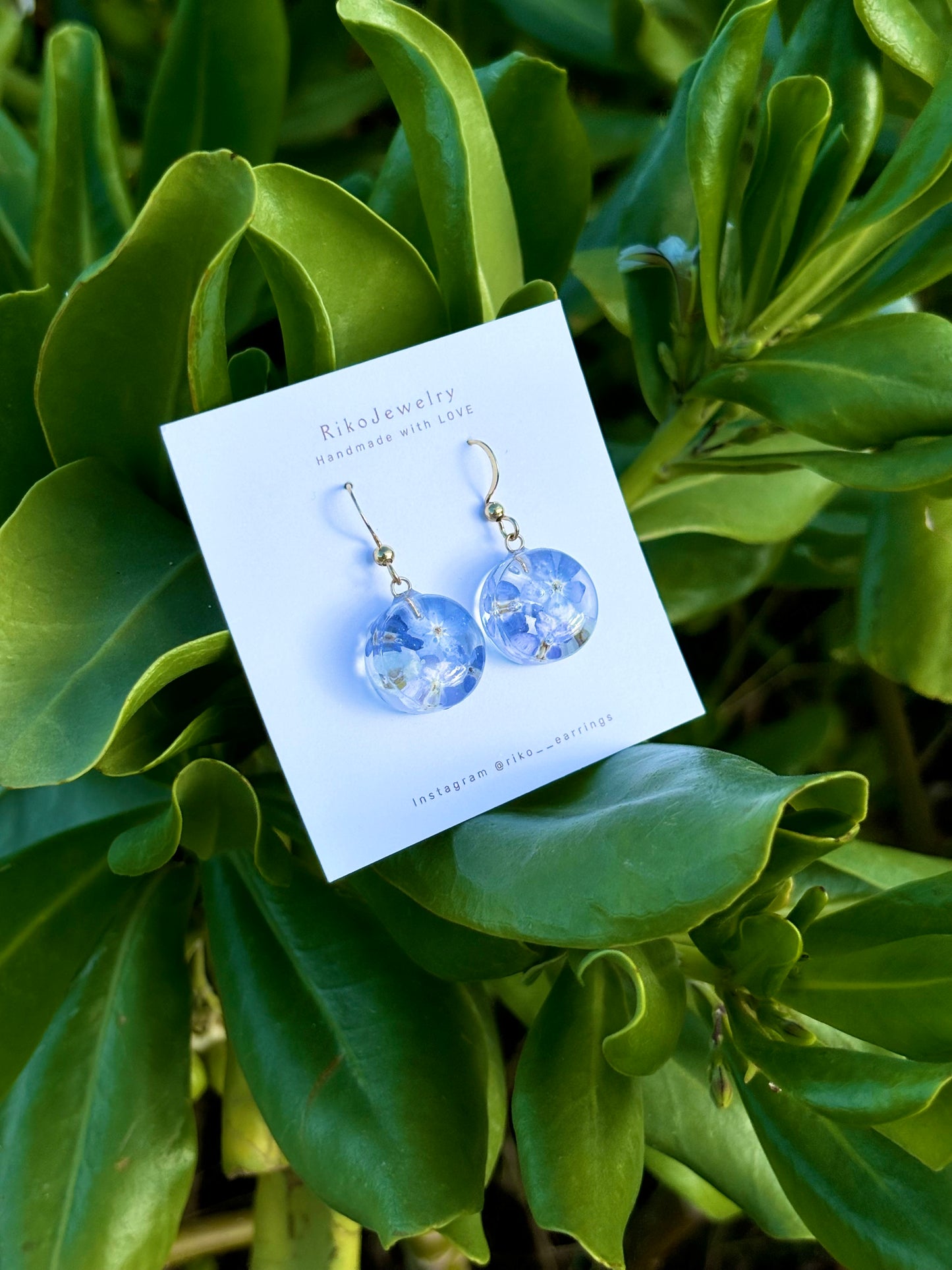 Forget me not and white alyssum earrings