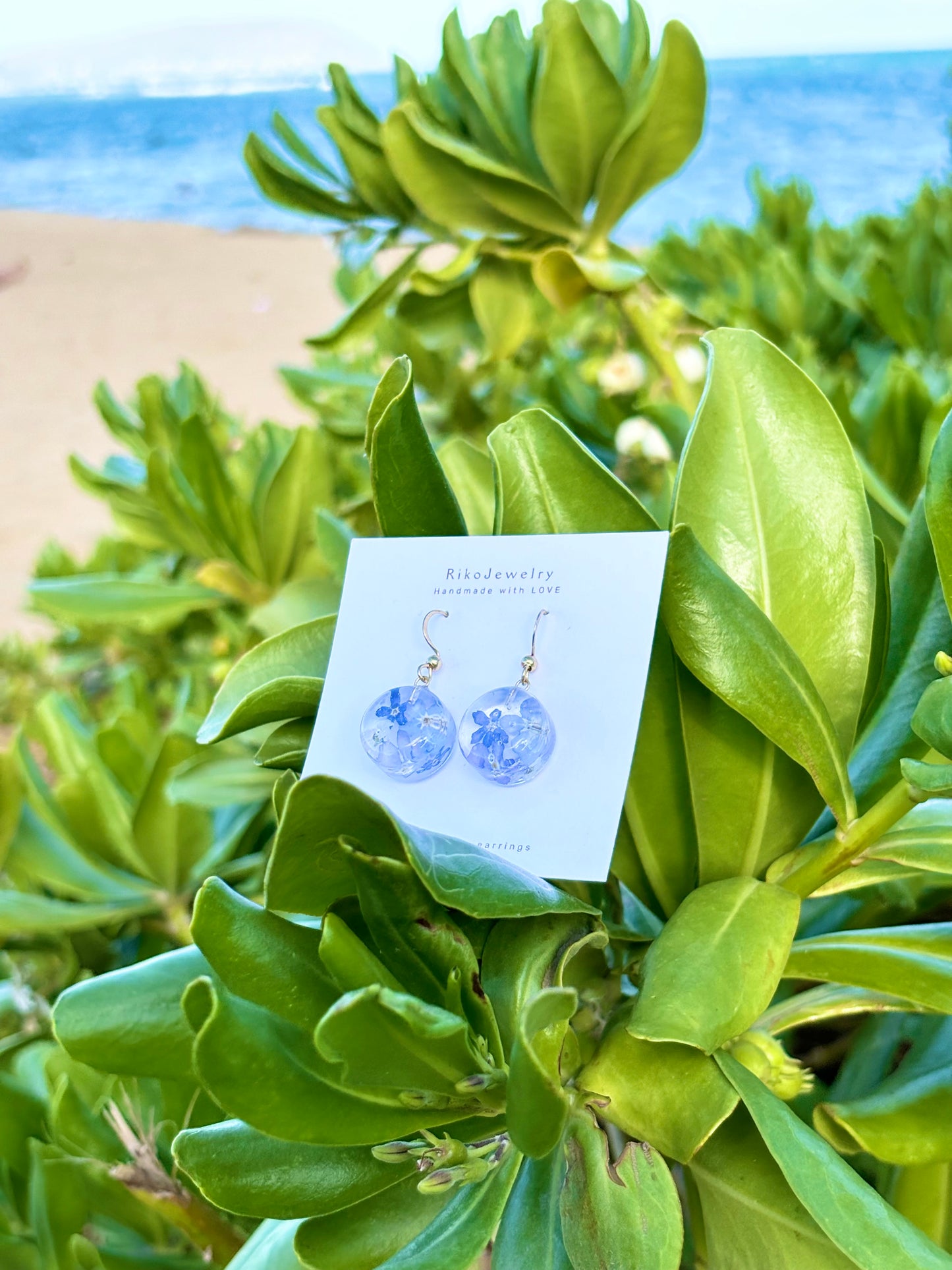 Forget me not and white alyssum earrings